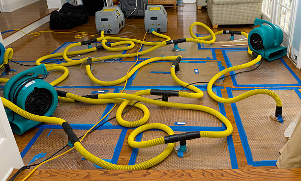Professional Burst Pipe Water Damage technician working in Glencoe, AL